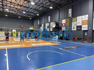 enaleptosigif2_result